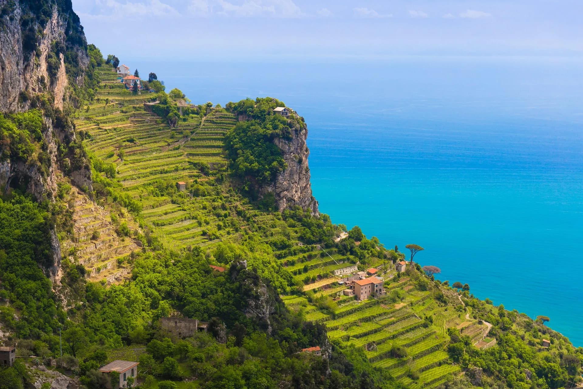 Terraced lemon groves on steep green hillside overlooking bright turquoise Mediterranean sea